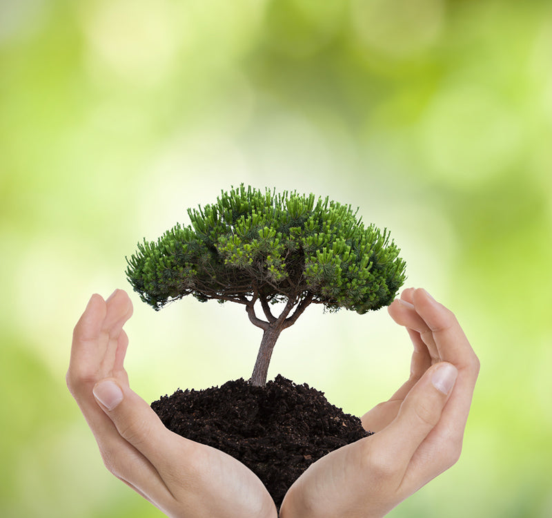 Saving Environment
